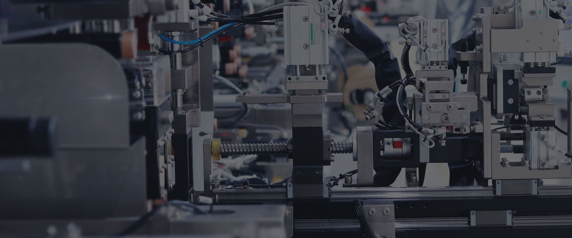 以技术创新、品质服务求生存和发展